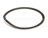 N64489 Capkold Gasket 6 Tri-Clamp