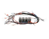 NGC-1150-1.E Turbochef Wire Harness, Line Vtg, 1Ph