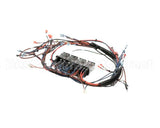 NGC-1150-1.E Turbochef Wire Harness, Line Vtg, 1Ph