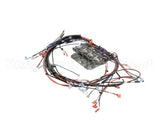 NGC-1150-1.E Turbochef Wire Harness, Line Vtg, 1Ph