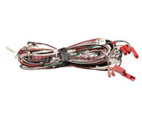 NGC-1418-2 Turbochef Harness, Low Voltage, International Oven