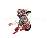 NGC-1418-2 Turbochef Harness, Low Voltage, International Oven