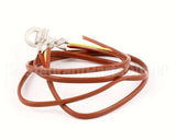NT1097 Groen Thermocouple, Assb, Electric Intek Steam