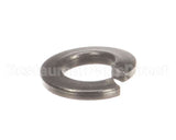 NT1216 Groen Lock Washer- Lock 1/4 Ss