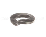 NT1216 Groen Lock Washer- Lock 1/4 Ss