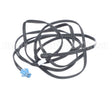 NTC2D02202 Turbo Air Sensor