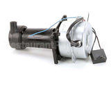 P00468-01 Hoshizakipump Assembly(