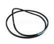 P00959 Globe Spiral Transmission Belt