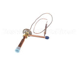 P01129-01 Hoshizakiexpansion