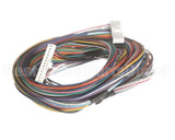 P0127K0800 Turbo Air Ribbon (Harness Display)