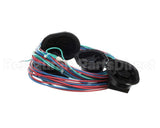 P065492BBK Hillphoenix 4 Plug Harness