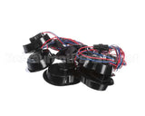 P096378GBK Hillphoenix Harness