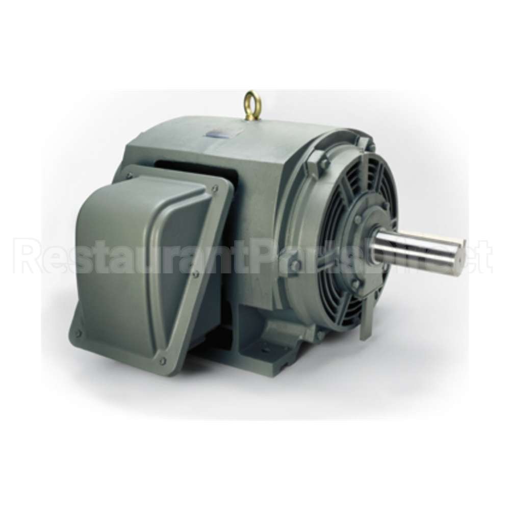 P1506 Teco Medium Voltage Motor