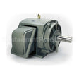 P4502 Teco Medium Voltage Motor