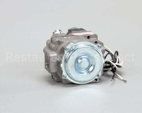 P5045651 Anets Valve,Gas 3/4 Bmser 120V Tpile N