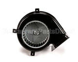 P8780B Aaon Combustion Blower Motor