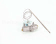 P8903-37 Anets Thermostat,Gas Snap Action