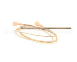 P8905-15 Anets Prb,Therm Anets Fryer 4.5