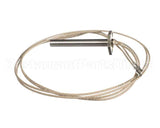 PA045 Cookshack Igniter