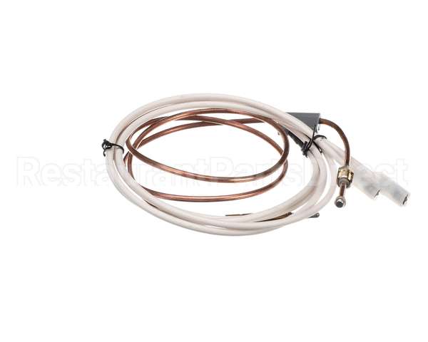 PD62398 Rosito Bisani High Btu Thermocouple