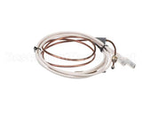 PD62398 Rosito Bisani High Btu Thermocouple