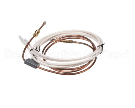 PD62398 Rosito Bisani High Btu Thermocouple