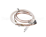 PD62398 Rosito Bisani High Btu Thermocouple
