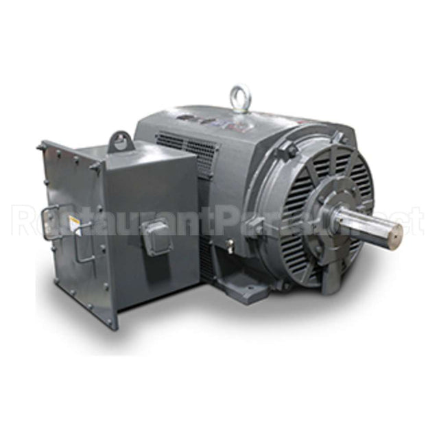 PG20004 Teco Medium Voltage Motor