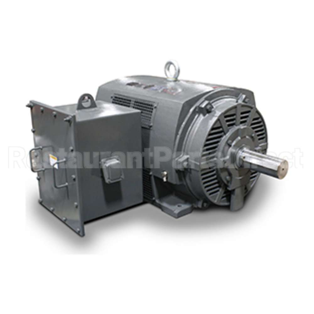 PG4006 Teco Medium Voltage Motor