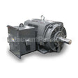 PG8006 Teco Medium Voltage Motor