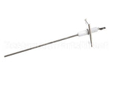 PL69-0010 Picard Ovens Flame Detector