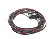 PLU01177 Trane Plug, Scroll Compressor, 208/230V, Ckt 1