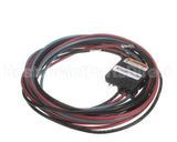 PLU01177 Trane Plug, Scroll Compressor, 208/230V, Ckt 1