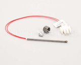 PS2177 Winston Water Probe