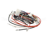 PS2809 Winston Harness Complete Pf56/46C