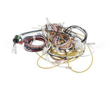 PS2977 Winston Harness Complete Ha4522