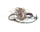 PS2977 Winston Harness Complete Ha4522