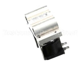 PU-30GE-0220 Evo Affinity 30Ge Dual Solenoid Valve, 120Vo