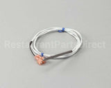 R0022 Blodgett Probe, Thermistor 30K Ohm