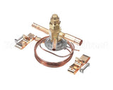 R002681 Rpi Industries Txv Valve