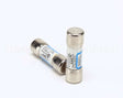 R02.03.014.02 Hatco Kit,Fuse 2A 480V-2 Pack