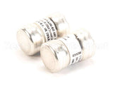 R02.03.033.02 Hatco Kit,Fuse 60A 300V-2 Pack