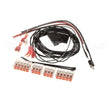 R02.13.366.00 Hatco (Switch) Kit,Prox Switches Fdw