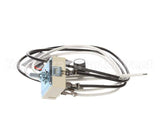 R02.19.160.00 Hatco Kit,100V Infinite Switch&Leads
