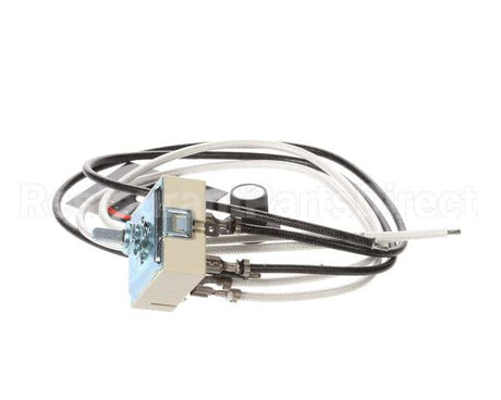R02.19.160.00 Hatco Kit,100V Infinite Switch&Leads