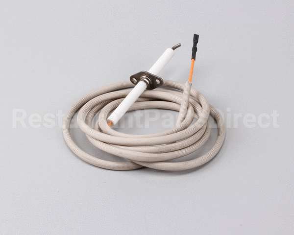 R10052 American Range Electrode,70Assembly Arr-Gril