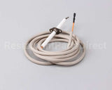 R10052 American Range Electrode,70Assembly Arr-Gril