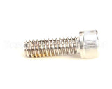 R11105 Blodgett Screw,Cap 1/4-20 X .75 Skthd