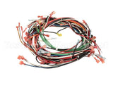 R13035 American Range Harness,Wire Arofe/Arosge Wall