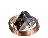 R17090 Aaon Temp/Rh Duct Sensor,24Ft